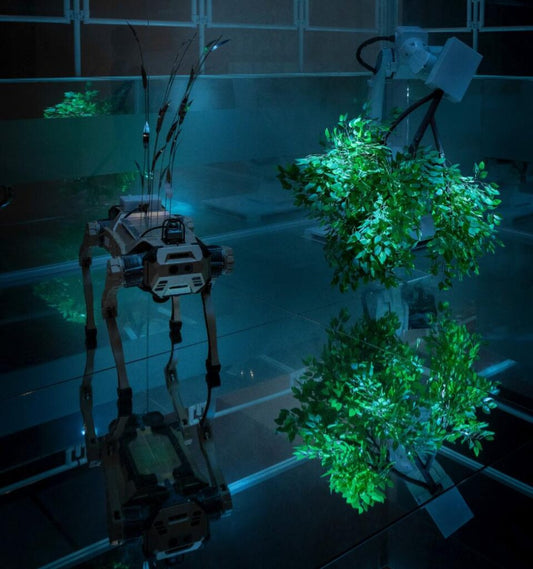 Symbiosis of Agents  art  robots  interactivité